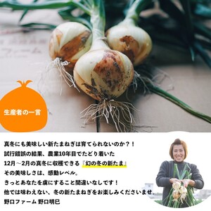 【3回定期便】mama-yasai たまねぎ５kg