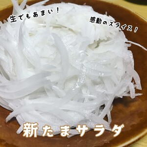 【12回定期便】mama-yasai たまねぎ5kg