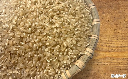 令和７年度産 新米 淡路島産「橙心(きぬひかり)」　精米2kg　◆配送9月末～