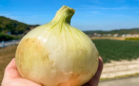 原田兄弟の一番玉ねぎ 10kg