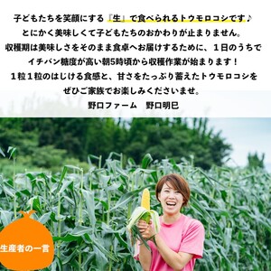 【令和6年産】早朝採りトウモロコシ10本セット　◆配送６月下旬～７月頃
