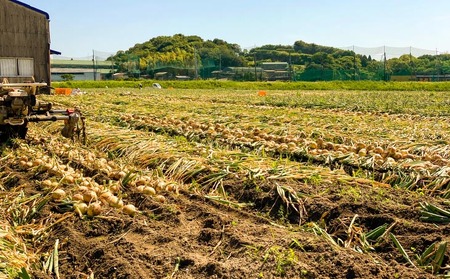 農家直送！【奈良農園】淡路島玉ねぎ ≪３kgサイズ色々≫