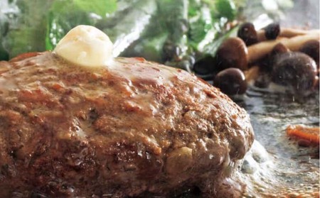 熟成淡路牛とえびすもち豚の合挽ハンバーグ（150g×6個セット）