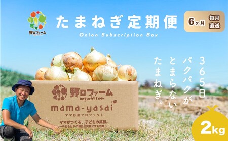 【6回定期便】mama-yasai たまねぎ２kg