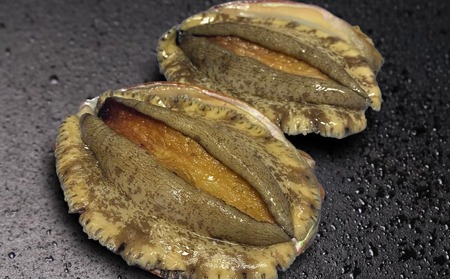 【花光】淡路島産天然アワビ(赤)大サイズ2個