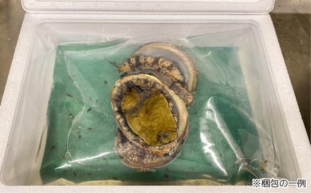 【花光】淡路島産天然アワビ(赤)大サイズ2個