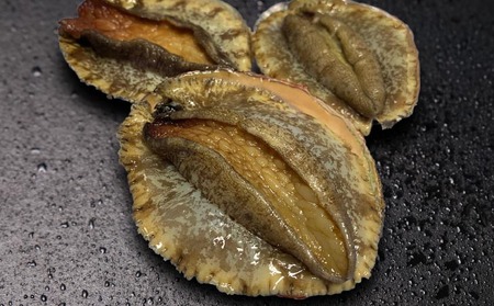 【花光】淡路島産天然アワビ（赤）大サイズ3個