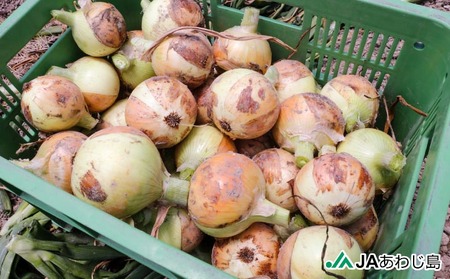 【新玉ねぎ】★発送3月～★ＪＡあわじ島のほんまもんたまねぎ【5kg】極早生種