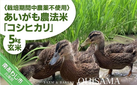 令和7年産　コシヒカリ　５Kg　玄米　栽培期間中農薬不使用　あいがも農法米