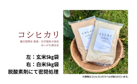 令和7年産 コシヒカリ 5Kg 白米 栽培期間中農薬不使用 あいがも農法米