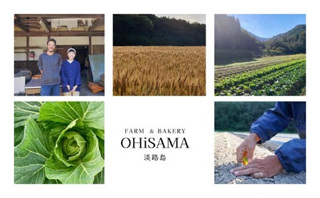 令和7年産 コシヒカリ 5Kg 白米 栽培期間中農薬不使用 あいがも農法米