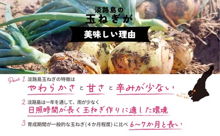 淡路島産 早採り新玉ねぎ 10kg　◆配送３月中旬～