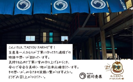 淡路島産 早採り新玉ねぎ 10kg　◆配送３月中旬～