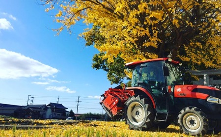 【オニオン魂】 淡路島たまねぎ　5kg　◆配送６月上旬～翌年２月末