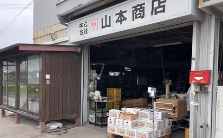 【オニオン魂】 淡路島たまねぎ　3kg　◆配送６月上旬～翌年２月末