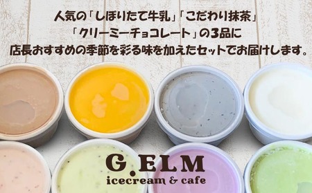 【G.ELM】「淡路島の絶品手作りアイスクリーム」12個セット