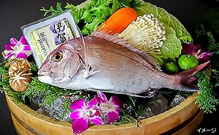 天然鳴門鯛「鯛しゃぶ」（1匹）淡路野菜添え