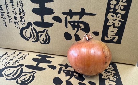 淡路島玉葱 10kg ◆配送8月上旬~翌年2月中旬
