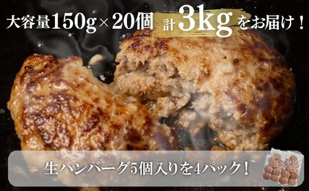 【R8.03月発送】淡路島玉ねぎ入れすぎハンバーグ ３kg（150ｇ×20個） 冷凍