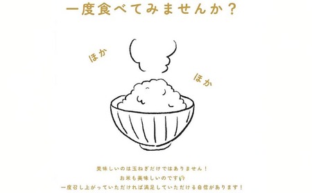 令和7年産新米　淡路島産キヌヒカリ　白米30kg