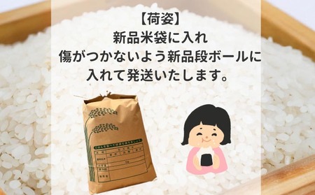 令和7年産新米　淡路島産キヌヒカリ　白米5kg