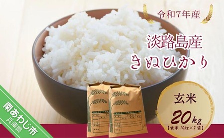 令和7年産新米　淡路島産キヌヒカリ　玄米20kg