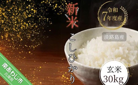 令和7年産新米　淡路島産こしひかり　玄米30kg