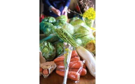 【定期便】「島のめぐみ」セット～南あわじ旬の食材～【6回コース】