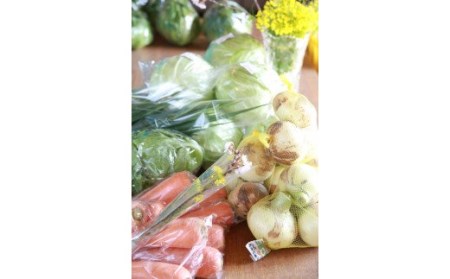 【定期便】「島のめぐみ」セット～南あわじ旬の食材～【6回コース】