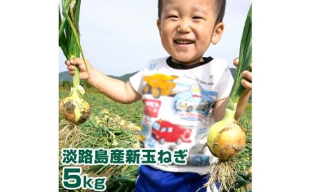 淡路島産 新玉ねぎ 5kg ◆発送4月~5月