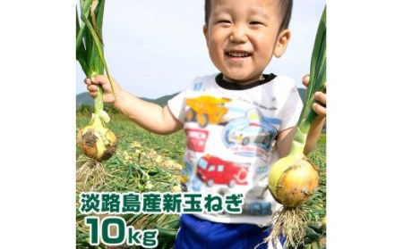 淡路島産 新玉ねぎ 10kg◆発送4月~