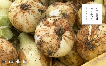 ＼新玉予約／中山さんちから直送　淡路島たまねぎ５㎏◆R8.3月下旬～発送