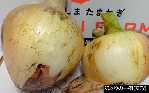 訳あり品　淡路島産新玉ねぎ 20kg　◆配送２月～５月