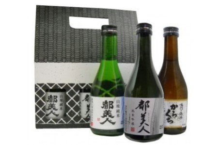 Ae25sm C 都美人酒造のかわいい蔵のボックス入り日本酒 蔵形300ml 3本セット 兵庫県南あわじ市 ふるさと納税サイト ふるなび