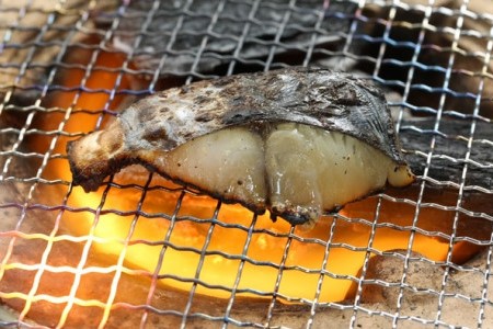 【クボタ水産】三代目淡路島鮮魚セット《極》