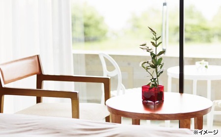 【ホテルアナガ】 スタンダードルーム　1泊2名様 朝食付