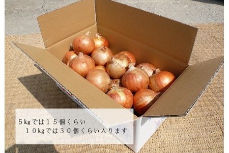 【淡路夢ファーム】　玉ねぎ（淡路玉三郎）10kg