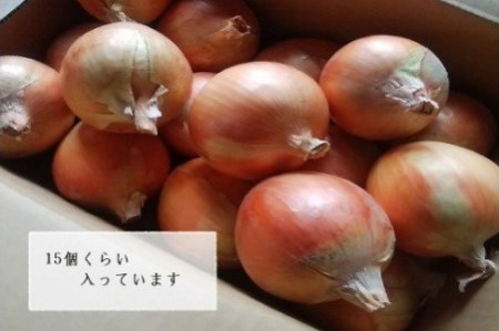 【ひょうご推奨ブランド】玉ねぎ・お米セット（各5kg）