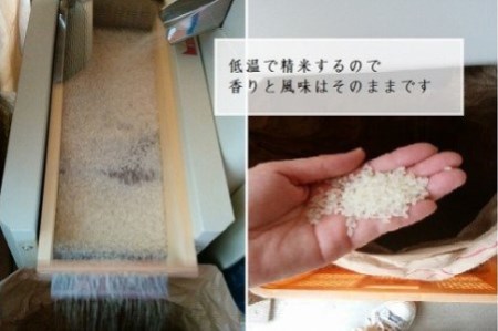 【ひょうご推奨ブランド】玉ねぎ・お米セット（各5kg）