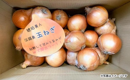 淡路島極熟玉葱10kg　シャーロットオニオン　玉ねぎ大国淡路島からの玉ねぎ
