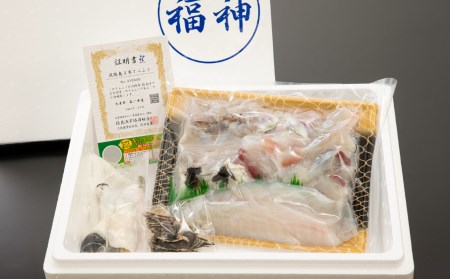 数量・期間限定!淡路島3年とらふぐ鍋セット◆配送12月29日まで