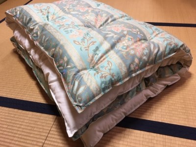 『うす仕立て』ゴージャスなコットン95%掛け布団<抗菌・防ダニ>/シングル・グリーン