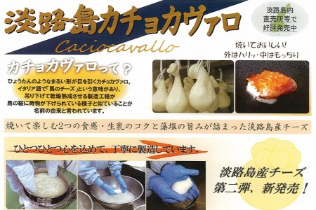 淡路島モッツァレラとカチョカヴァロ 各1個セット