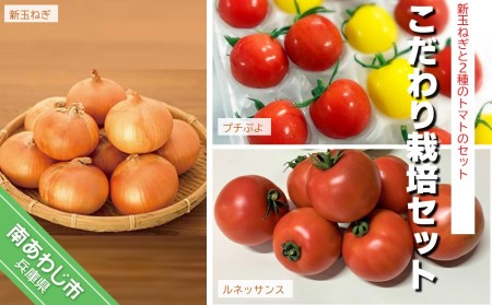 Cp54sm C こだわり栽培セット 新玉ねぎ 大玉トマト プチぷよ 兵庫県南あわじ市 ふるさと納税サイト ふるなび