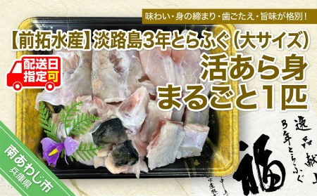 ふるさと納税 兵庫県 南あわじ市 前拓水産の淡路島3年とらふぐ（活