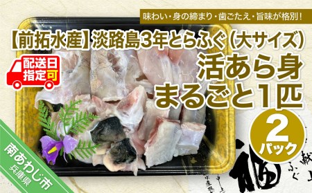 淡路島3年とらふぐ（大サイズ）活あら身まるごと1匹 2Pセット◇配送10