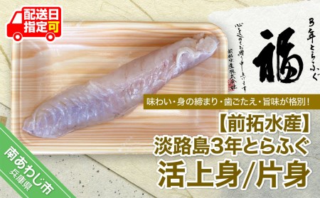 淡路島3年とらふぐ(活上身/片身)◆配送10月25日~3月31日
