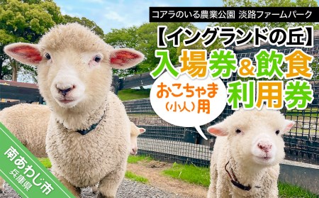 コアラのいる農業公園　淡路ファームパーク　イングランドの丘　入場券＆飲食利用券（小人用）