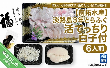 【前拓水産】淡路島3年とらふぐ（活てっちり／白子付6人前）冷凍 8,875円
