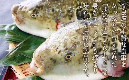 淡路島3年とらふぐ「てっちり」淡路野菜添えセット（2人前）◆期間限定～3/15